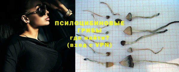 стафф Алексеевка